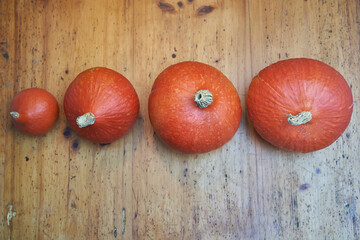 four freshly harvested different sized red kuri squashes in a row on a rustic wooden table