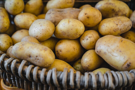 Fresh Potatoes Display at the Farm Market