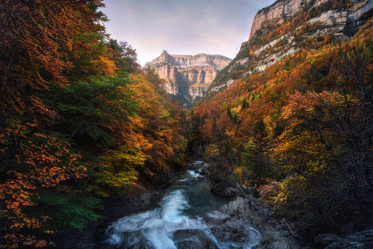 River in the middle of a forest at autumn
