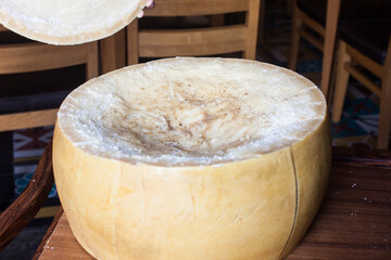 ganzer Parmesan Käse Laib