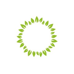 Round wreath with green leaves. Floral fresh text box or label.