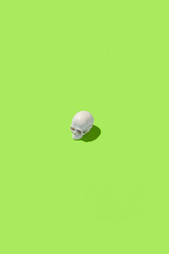 Skulls flying