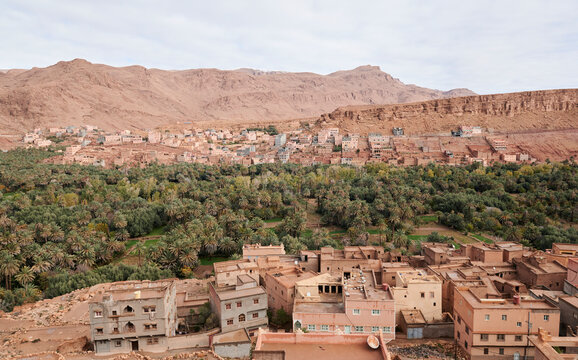 Oasis and village panorama landscape desert