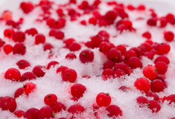 Frozen red currant berries.