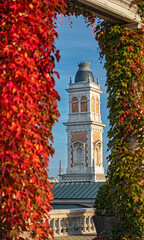 Fototapety na wymiar - Fototapeta24.pl