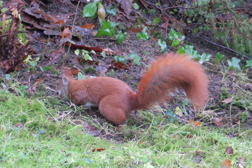Besuch im Garten