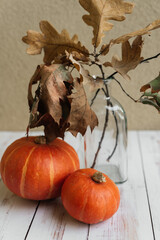 Two orange pumpkins on a white background. Next is a vase with autumn leaves. Autumn still-life. Halloween. Harvest. Postcard