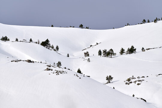 Mountain White Snow