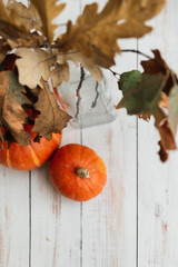 Two orange pumpkins on a white background. Next is a vase with autumn leaves. Autumn still-life....
