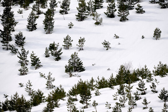 Mountain White Snow