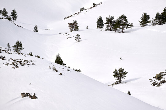 Mountain White Snow