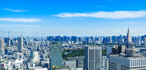 Fototapeta na wymiar 都庁から眺める東京都心部　ワイド