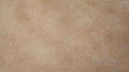 Beige cattle leather texture background