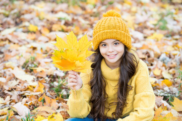perfect autumn day of cheerful kid in knitted hat and sweater relax in fall season forest enjoying good weather, maple leaf