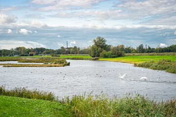 tourism, environment, scenery, scenic, rottemeren, river, Classic Dutch landscape with water...