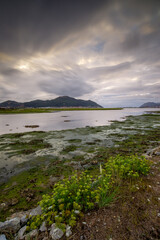Amanaceres con Santo&ntilde;a y Laredo de fondo