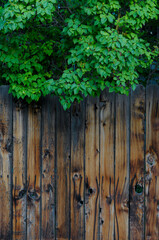 old wooden fence