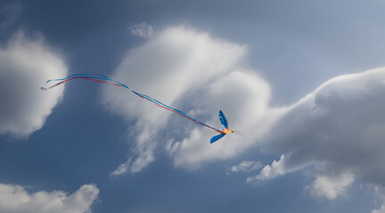Kite below a blue sky and white cluods