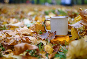 Ceramic Cup on autumn leaves