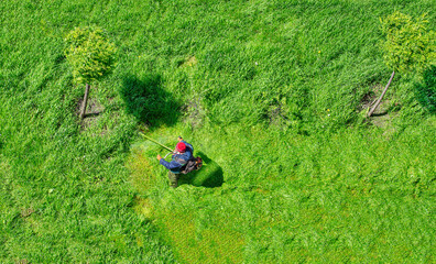 worker mows the grass with a brushcutter, top view