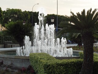 fountain in the garden