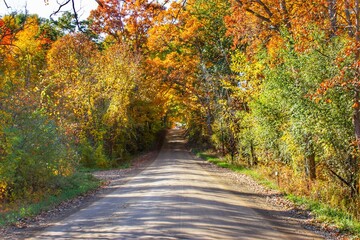 5009 - Harson Road in Fall II (5009-CRDS-101120-0318P)