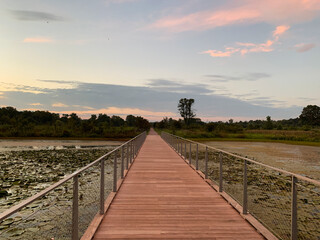 walk on the bridge at Berkeley creek park, KY