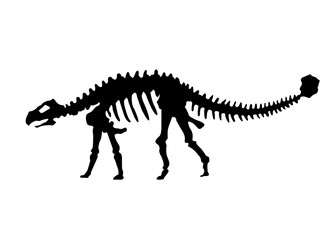 Fototapeta na wymiar Vector silhouette of dinosaurs skeleton. Hand drawn dino skeleton. Dinosaur bones, exhibit fossils in the museum
