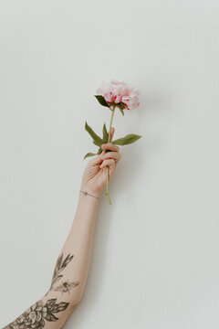 pink peony