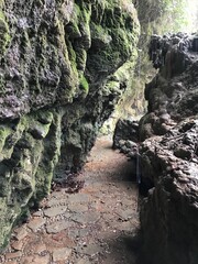 waterfall in the forest