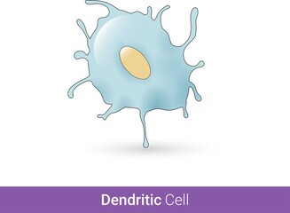 Dendritic cell vector illustration. White blood cell in blue color and white background with dendrites.  role: Phagocytosis and antigen presentation.