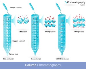Types of column chromatography Affinity chromatography ion exchange and size exclusion chromatography used in the isolation of biological molecules vector illustration 