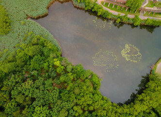 Panorama of forest in the autumn from height a beautiful calm lake in the landscape