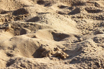Uneven surface of sand on the beach at the seaside on a sunny day.