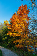 Walking in the Chauveau 
Park
