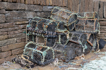 lobster nets