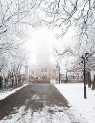 Fototapety na wymiar - Fototapeta24.pl