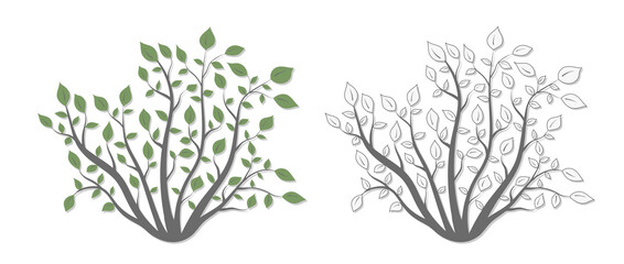 Bush plants with green leaves and light shade in two versions on a white background