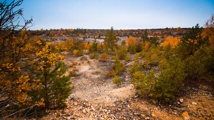 panorama view of abandoned granite quarry, now covered with young coniferous and deciduous trees, cold misty autumn morning, ecotourism fascination idea concept