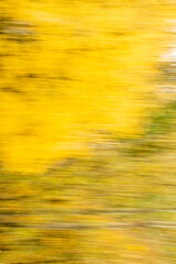 Abstract background of autumn leaves with zoom effect motion blur. Zoom speed blured motion.