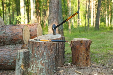 old axe on the background of firewood