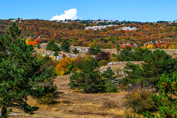 Crimea view from the mountain AI-Petri, black sea
