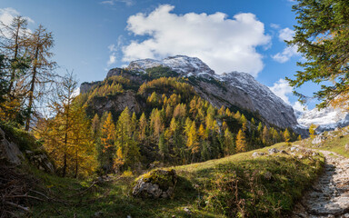 Fototapeta na wymiar autumn forest in the mountains