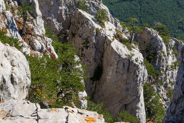 The view from the mountain AI-Petri, Mishor Crimea