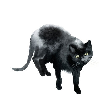 Black cat watercolor illustration isolated on white background