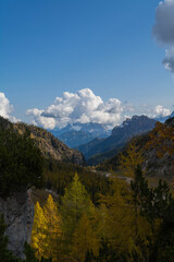 Fototapeta premium landscape in the autumn