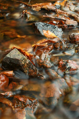 Small Stream Flowing over Fallen Leaves in October