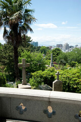 Fototapeta premium 外国人墓地