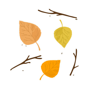 Colorful Aspen Fallen Autumn Seasonal Leaf From Tree Vector Illustration