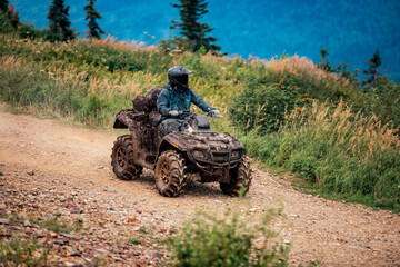 Fototapeta premium ATV rider rides through forest off-road in summer